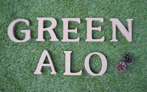 Green Alo 保育型自然派スクール Green Alo 保育型自然派スクール